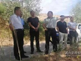 康强 我知道他叫康强强，甘肃省，天水市，武山县人洛门人，我要找他，但不知道具体地址怎么办？