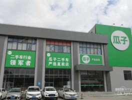 瓜子二手车直卖网（二手车官方店有哪些？）