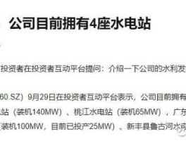 股票002060 粤水电这支如何？