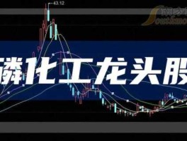 股票002450 化工龙头股票有哪些？