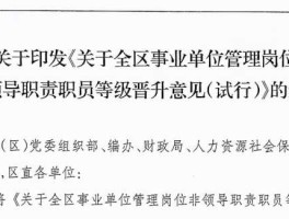 职务与职级并行，2021年事业单位职级并行实施细则？