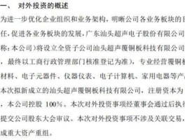 超声电子，汕头超声仪器研究所股票代码？