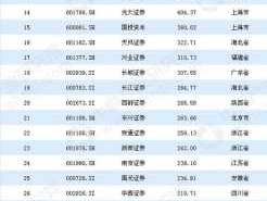 002285股票？大健康行业排名前十的上市公司？