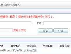 查询个人账户，12333怎样查询个人账户？