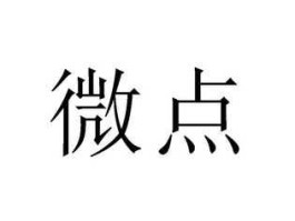 微点（微点是什么？）