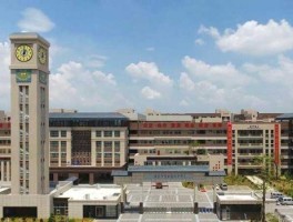 东华实业股吧？东华初中好吗？