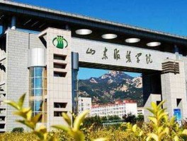 300050股票？山东服装职业学院怎么？