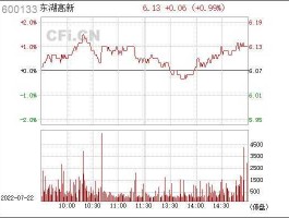 股票600133，什么是东湖高新？