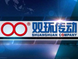 002472股票（江苏双环齿轮有限公司怎么样？）