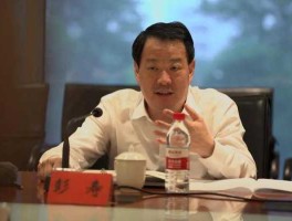 秦皇岛耀华玻璃股份有限公司，耀华玻璃董事长？