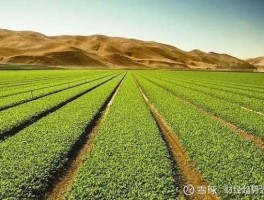 农药股？在京东买农药可靠吗？