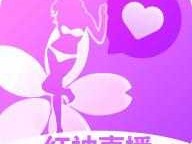 四川卫视4在线直播，成都今晚800直播哪里可以看？