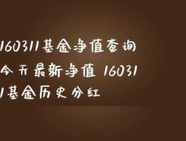 基金净值查询160311（可场内交易的开放式基金都有哪些？）