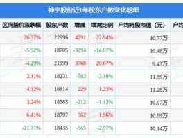 300563，神宇股份是国企吗？