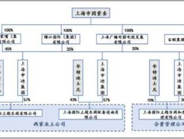 上海申迪集团（上海迪斯尼57%的中方股份是哪家公司持有的？）