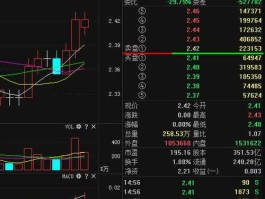 000725股票？京东方公司介绍？