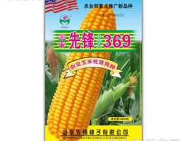 种业公司？先锋种业有什么品种？