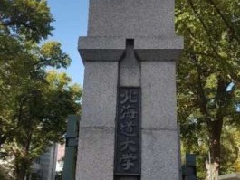 北海道大学，北海道大学相当于国内什么大学？