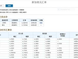 2000新加坡币等于多少人民币（新加坡月薪6000新币什么水平）