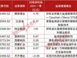 盐湖股份新消息，盐湖提锂储能方面的股票？