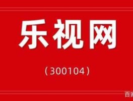 300104乐视网？乐视网是谁创立的？
