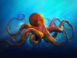 章鱼预测，章鱼预测是真的吗？