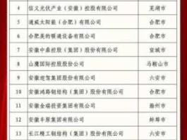 韦江宏 2021年安徽省民营企业百强？