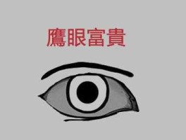 鹰目之光（之光什么意思？）