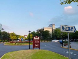 张江集团，浦东张江为什么叫张江？