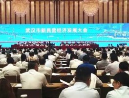 武汉经济？武汉民营经济的崛起与突破？