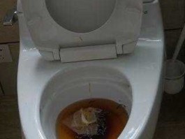 点子通（马桶被大便堵了泡一夜会通吗？）
