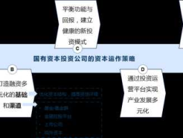 资本投资（资本投资服务范围？）