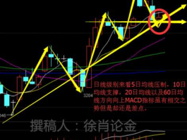 原油现货怎么做 新手做现货原油怎么看盘？