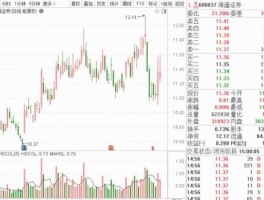 600643股票 章盟主1070万7月份回购13亿是啊个股？