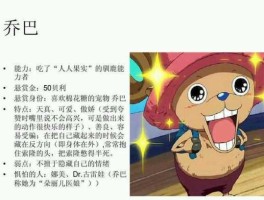 卡酷动画，海贼王中的卡酷人物介绍？