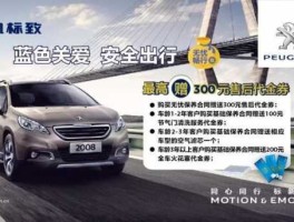 新东风无忧价值网（东风标致五年无忧是什么意思？）