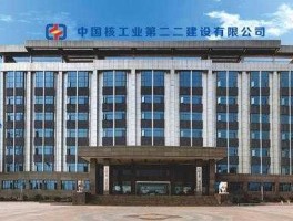 中国核工业二三建设有限公司，中国核工业二三建设有限公司南方分公司单位代码？