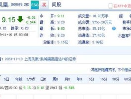 900951（上交所纯b股的股票有哪些？）