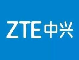 中兴通讯天涯，什么是中兴网？