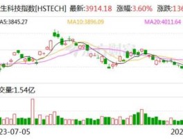 综艺股份股票，科技股龙头股票？