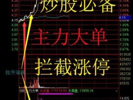 大单追踪（通达信能看股票一个月大单吗？）