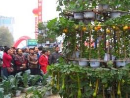 北京高交会 农高会的基本知识？