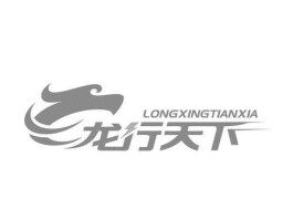 天下私募（龙行天下股份有限公司介绍？）