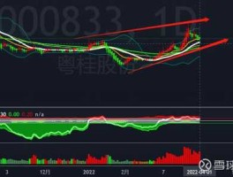 股票000833 粤桂股份怎么样？