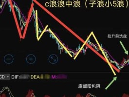 大c浪（什么是C浪？）