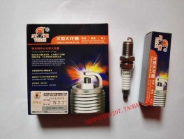 湘火炬 火炬火花塞和湘火炬是一个品牌么？
