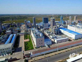 东岳硅材？东岳硅材有自己的矿山吗？