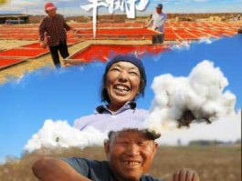 秋秋播，农民的快乐是什么？