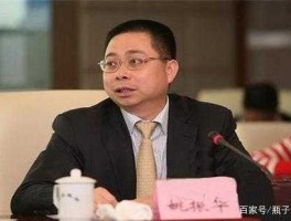 姚振华（姚振华是做什么的？）