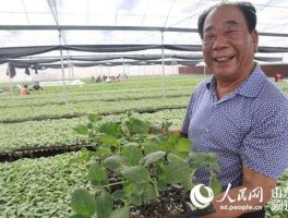 大棚（寿光大棚创始人是谁？）
